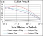 SNAI2 Antibody